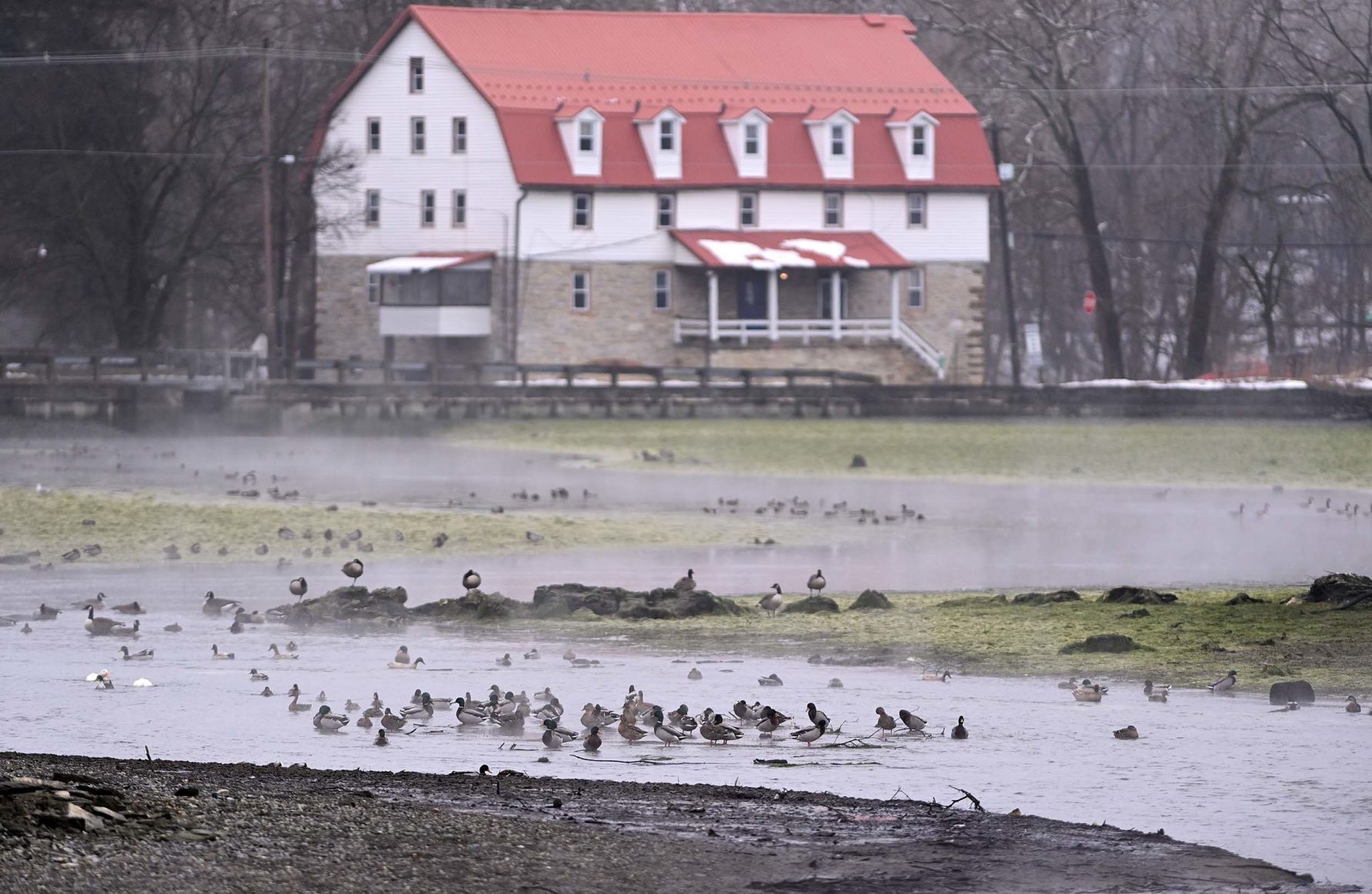Children's Lake Drained 5